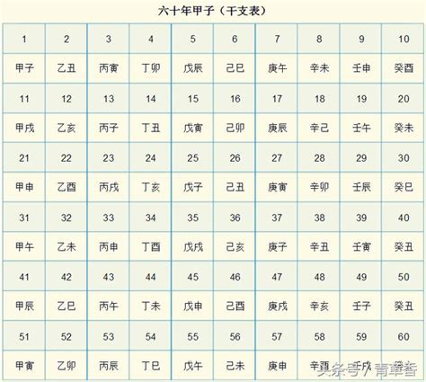 午未年|《天干地支》對照表及運用方法